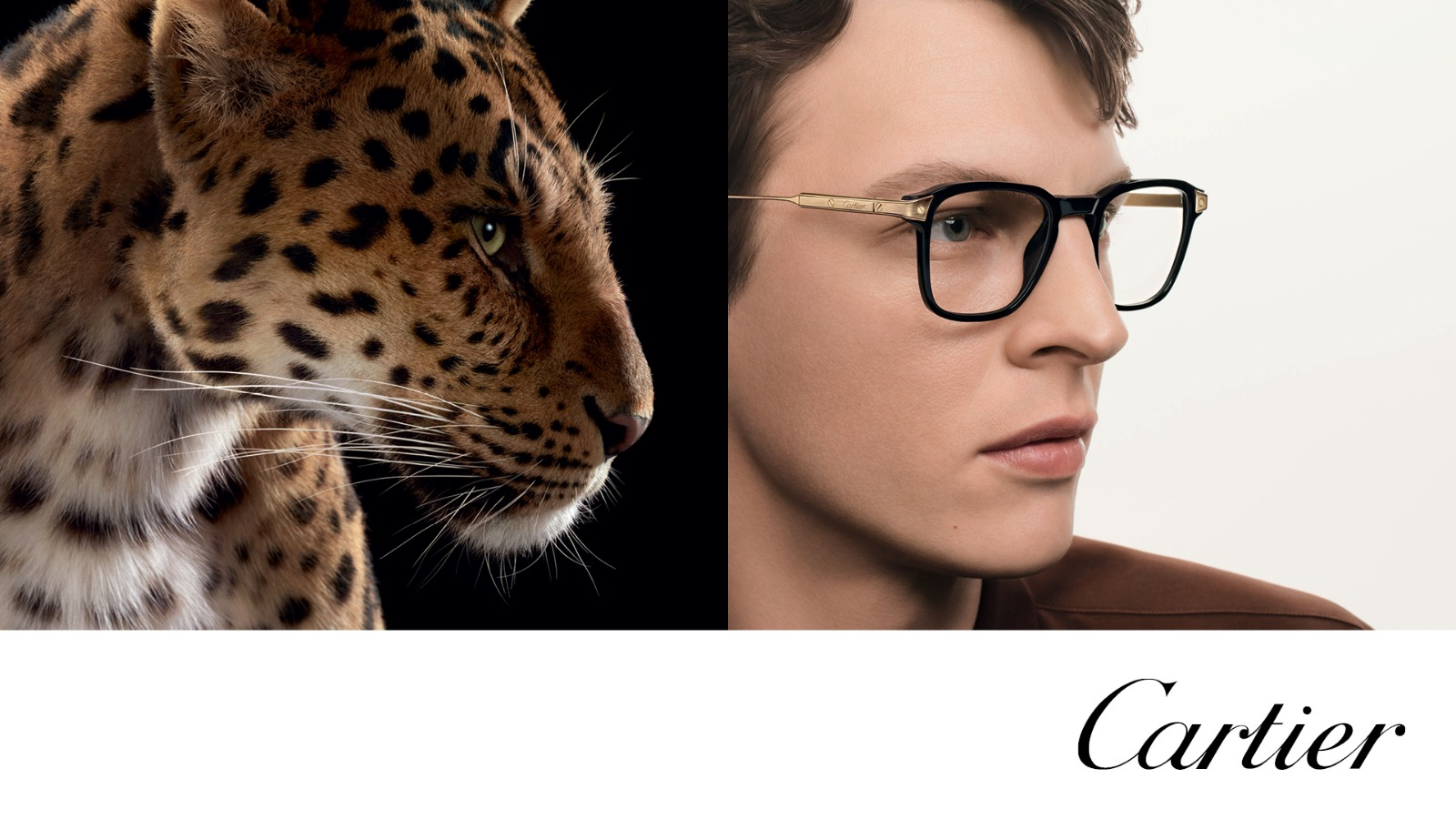 CARTIER2