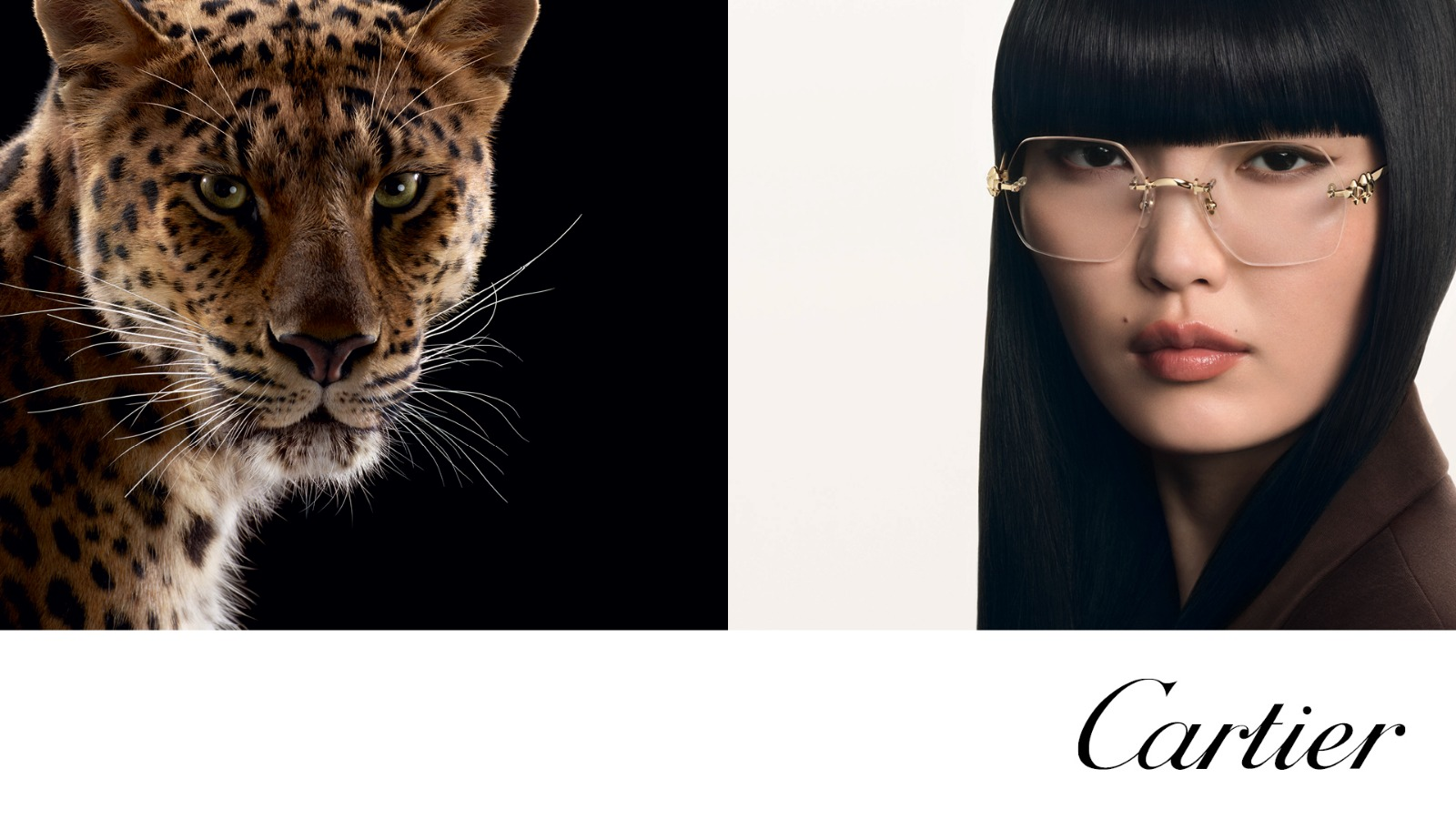 CARTIER4