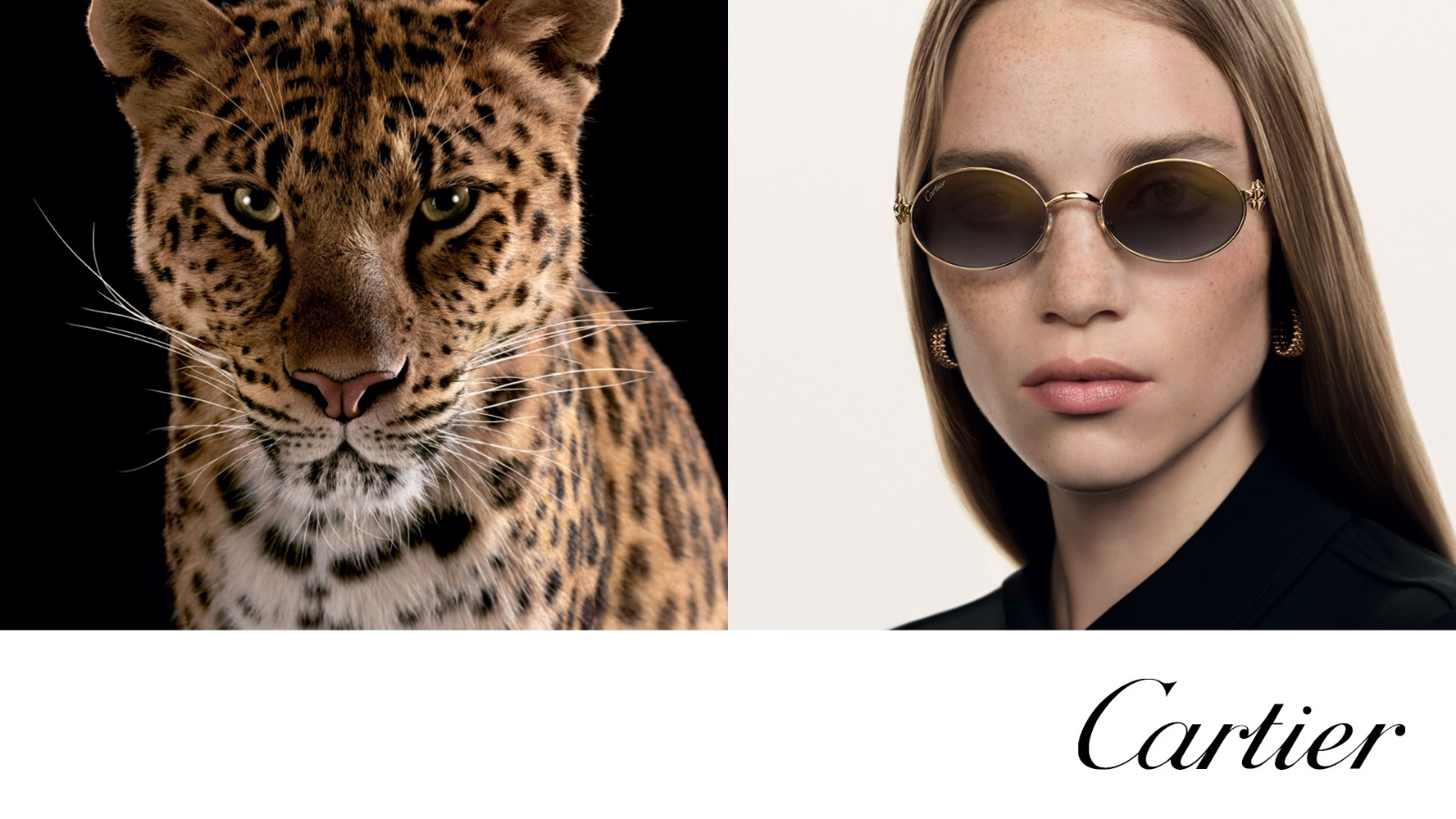 CARTIER6